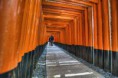 /album/torii/fotog1-jpg/