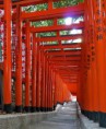 /album/torii/fotog2-jpg/